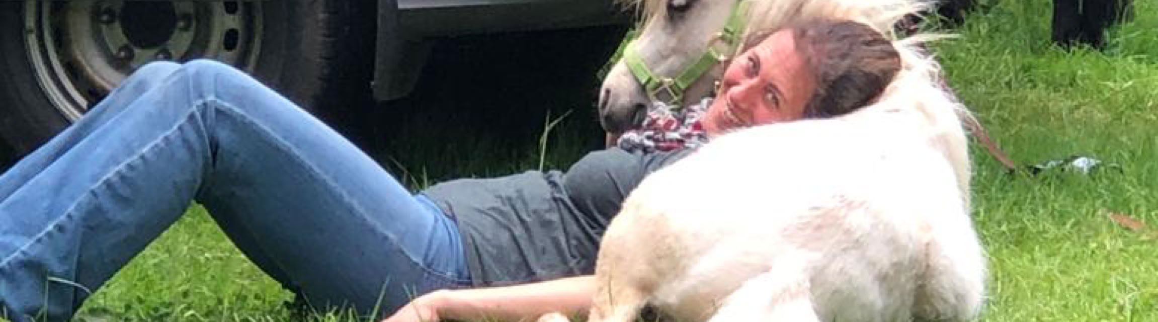 Ponyreiten Sulkyfahrten Dahner Felsenland Pfälzerwald American Miniature Horse